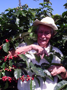 Jose Viriglio
